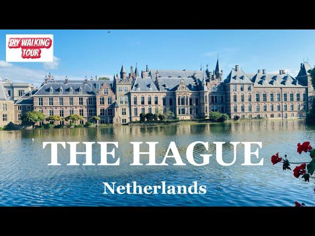 Discovering the charming streets of the HAGUE | North Holland, Netherlands