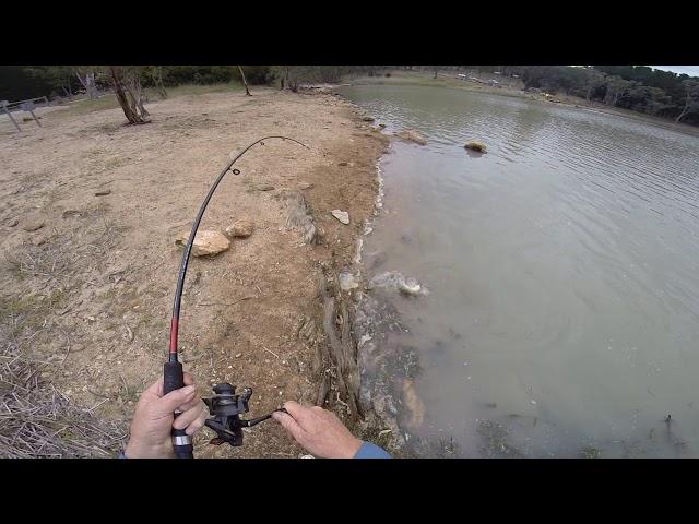 Fishing Warren Reservoir, Adelaide, South Australia #warrebreservoir#reserviorfishing#carp#fishing