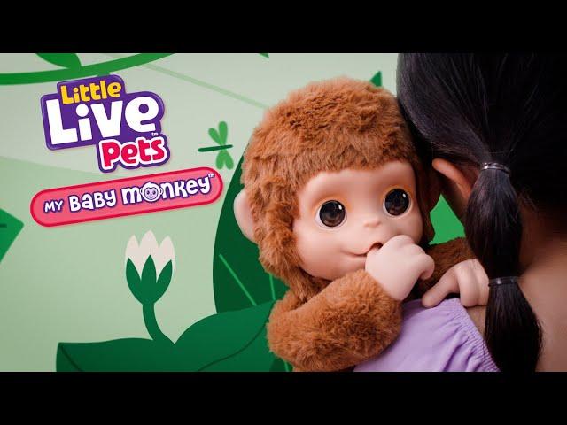 LITTLE LIVE PETS I MY BABY MONKEY TVC I 30