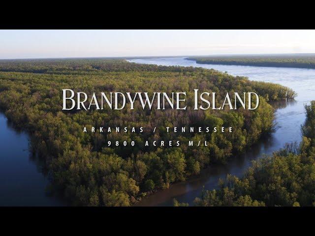 Brandywine Island |  Crittenden County AR | 2300