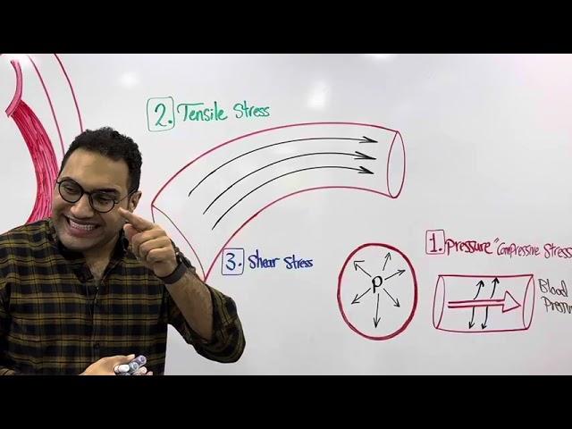 Vascular Physiology - 1 (Kasr Alainy 2024)