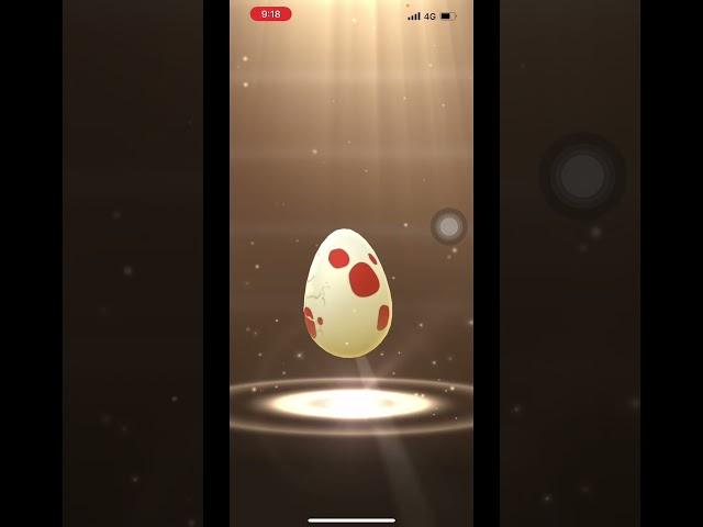 【ポケモンGO】激レア色違いポケモンが爆誕？！12kmタマゴ3連#ポケモンgo #shorts ＃私は最強