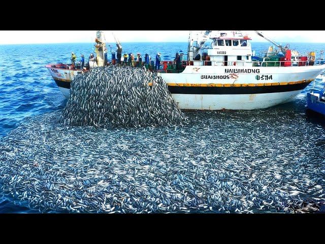 The Wildest Fishing Ever - Robots Bringing In Trillions of Ocean Monsters