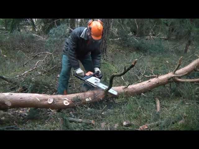 Stihl MS 211 Motorsäge, Kaltstart u. arbeiten am liegenden Holz, chainsaw cold start delimbing trees