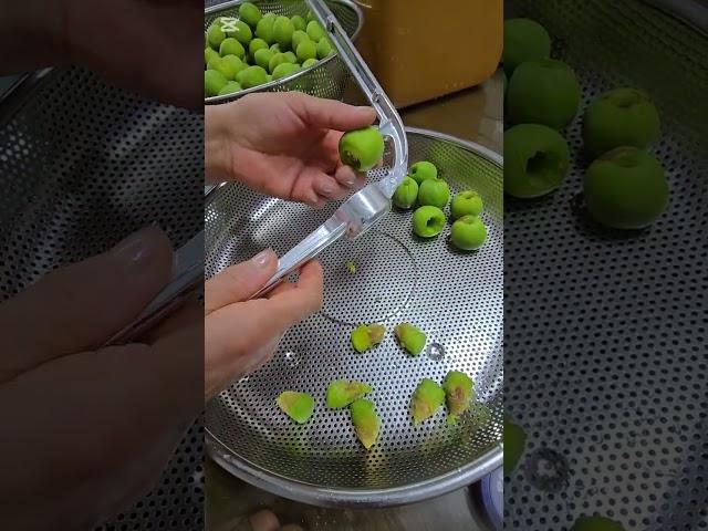 매실 짱아치 담그기#농사 #gardening #산골 #garden #귀촌생활 #주말농사 #farming #주말농사 #자연농원 #산나물 #산골 #텃밭 #매실#매실짱아찌
