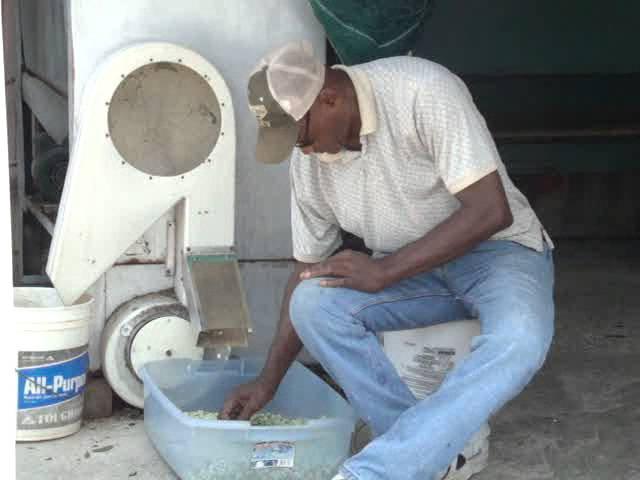 Walter shelling Butter Beans, Opelika Farmers Market, Opelika, Alabama, August, 2012.