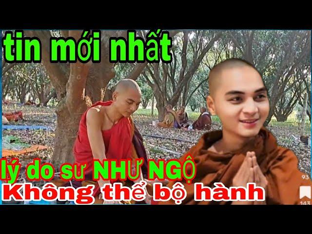 Tin mới nhất lý do sư NHƯ NGỘ không bộ hành buổi chièu