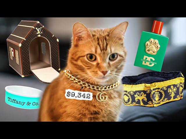 The Insane World of Designer Pet Products