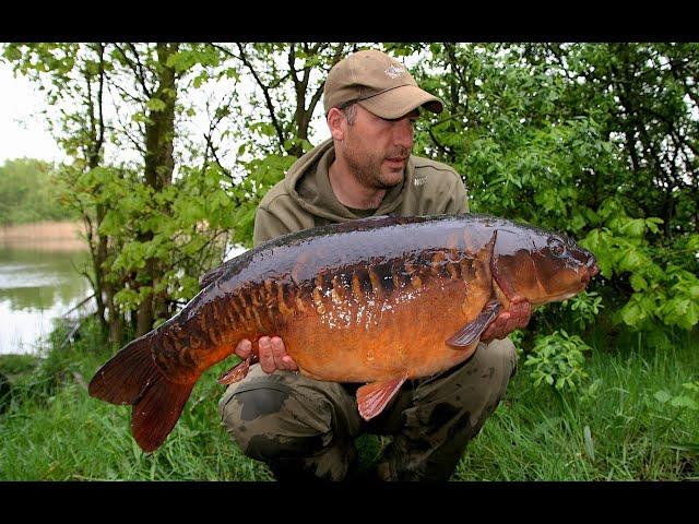 The Mesters CARP syndicate