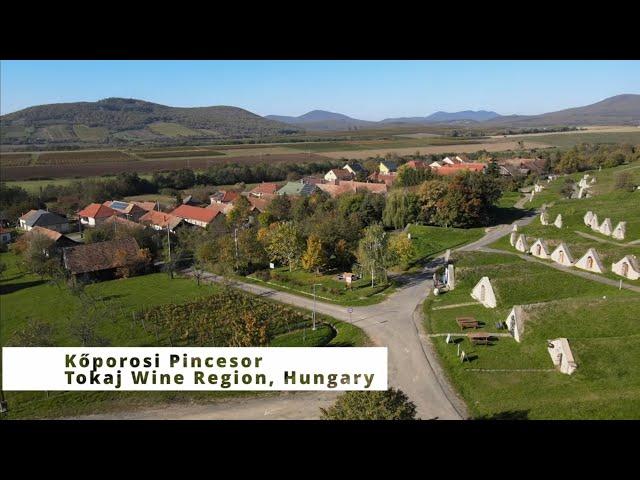 Discover Koporosi Pincesor (Hercegkut) - Hungary's BEST Kept WINE CELLARS in the Tokaj region