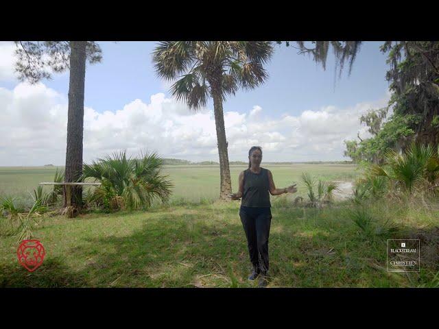 An Island Gem  Webb Tract on Daufuskie Island | 600 Acres of Undeveloped Land Along Intracoastal