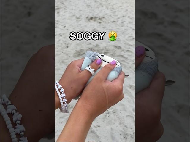 *RESULTS* I BURIED my SQUISHMALLOW in the SAND for 3 DAYS! ️ *RIP FIDGET*