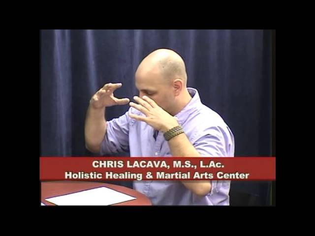 Chris LaCava Acupuncture & Martial Arts Interview - June 2013