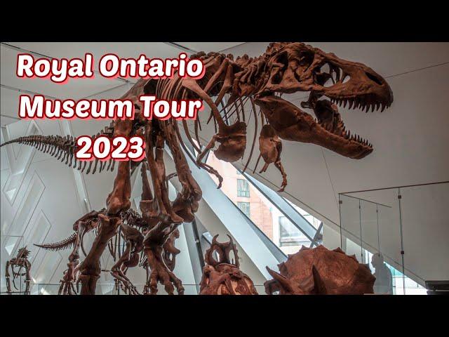 Royal Ontario Museum Full Tour from Ground Level to Fourth Level | What's Inside The ROM