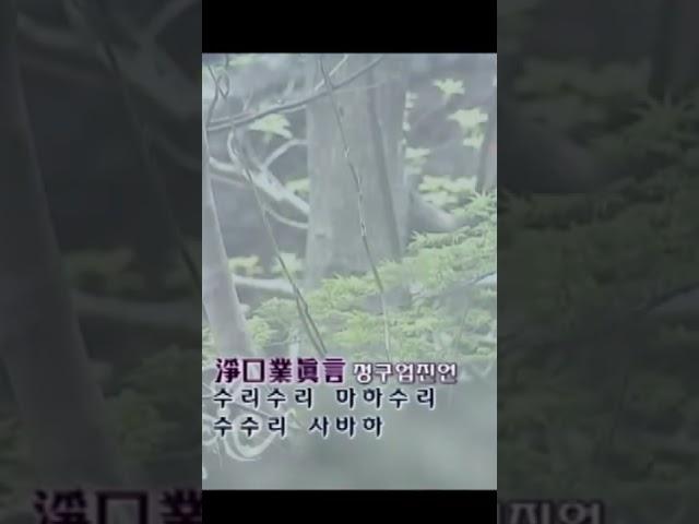 세민스님의 천수경 염불독경 #shorts