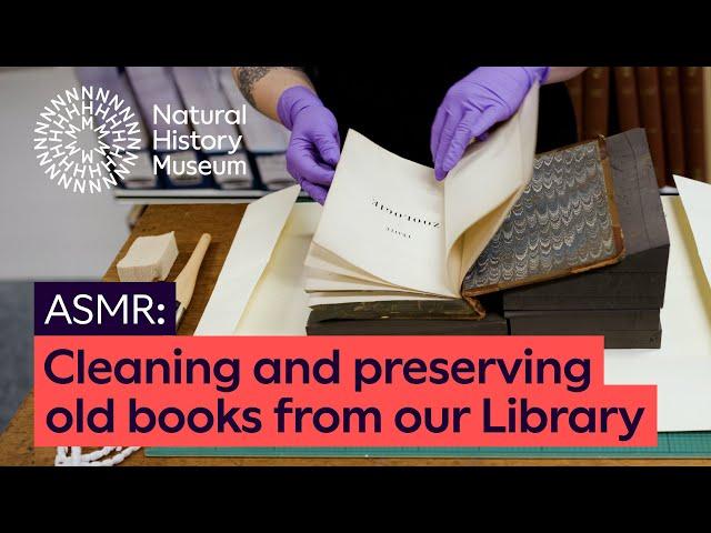 Cleaning and preserving old books from our Library | ASMR