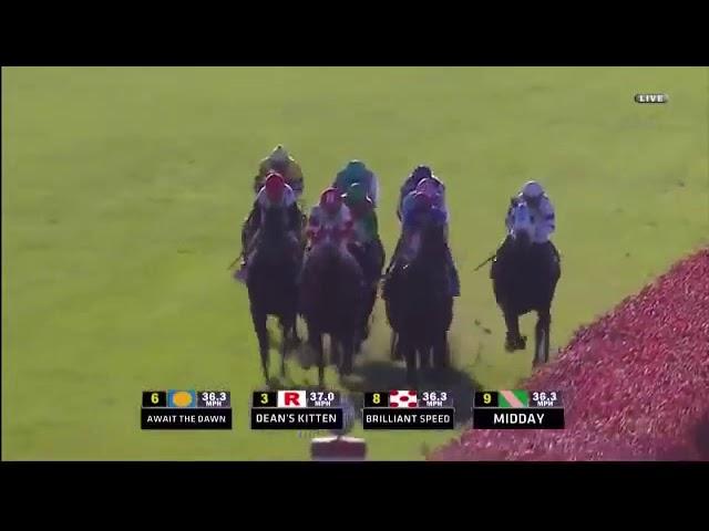 2011 Breeders Cup Turf (St. Nicholas Abbey)