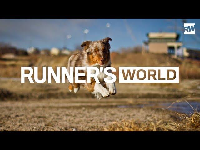 The 6 Best Types of Dogs for Runners