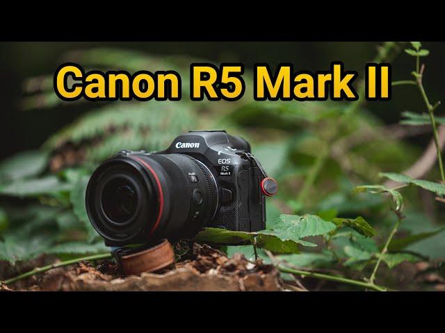 Canon EOS R5 Mark II im großen Test - lohnt sich die 4800€ Kamera?