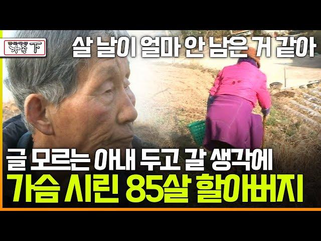 [멜로다큐 '가족' 372회 下] 살 날이 얼마 안 남은 거 같아 글 모르는 아내 두고 갈 생각에 가슴 시린 85살 할아버지