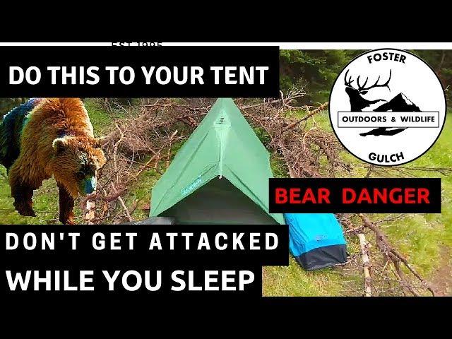 Multiple Bear Attacks in July 2017: How to Defend Yourself From Backcountry Grizzlies & Black Bears