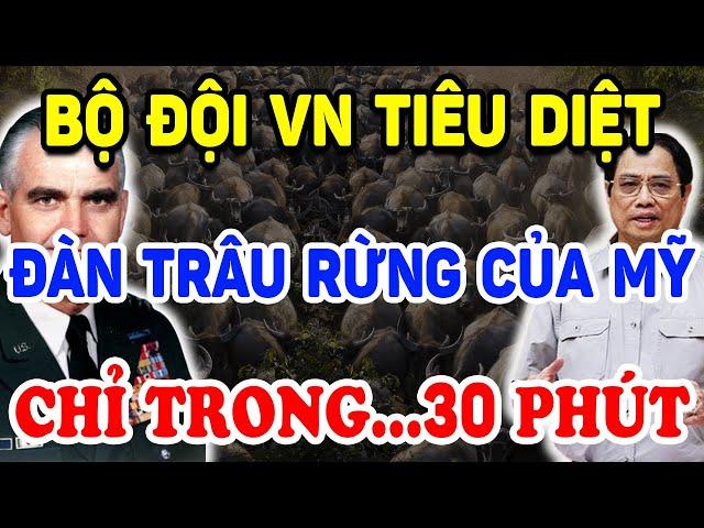 Bộ Đội VN TIÊU DIỆT "ĐÀN TRÂU RỪNG" Của Tướng Abrams Chỉ Trong 30P Như Thế Nào ? | Triết Lý Tinh Hoa