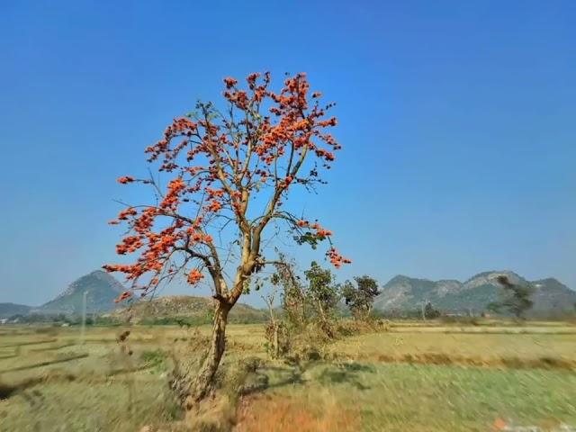 Amader.. purulia ️