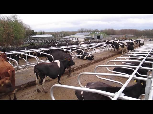 Farmers turning back to concrete, topless cubicles