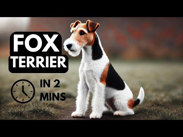 Fox Terrier in 2 mins: Energetic, Smart, and Full of Personality – Is This the Right Dog for You?