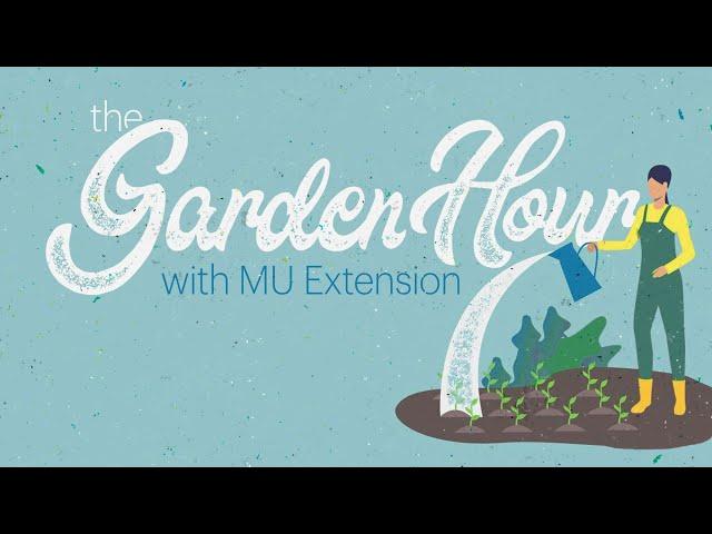 The Garden Hour with MU Extension –9/13/23