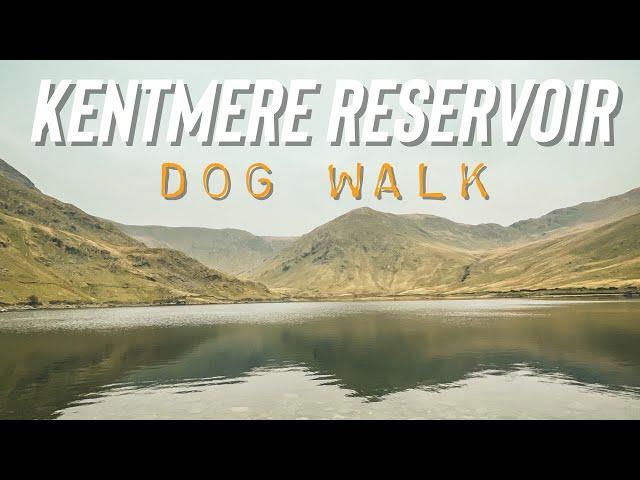 Kentmere Reservoir Dog Walk // Lake District Miles Without Stiles 6 Mile Loop, we got lost as usual!