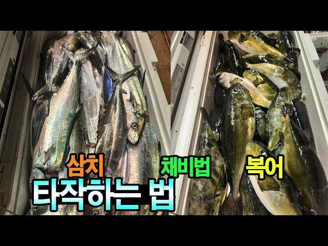 또 만쿨 갈치 갔다가 삼치/복어 터졌다 복어 잡는 채비법 갈치지깅