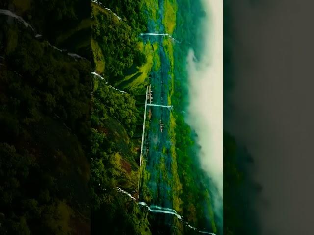GM Relaxation - Music #shorts #nature #status youtube.com/@gmrelaxation-music
