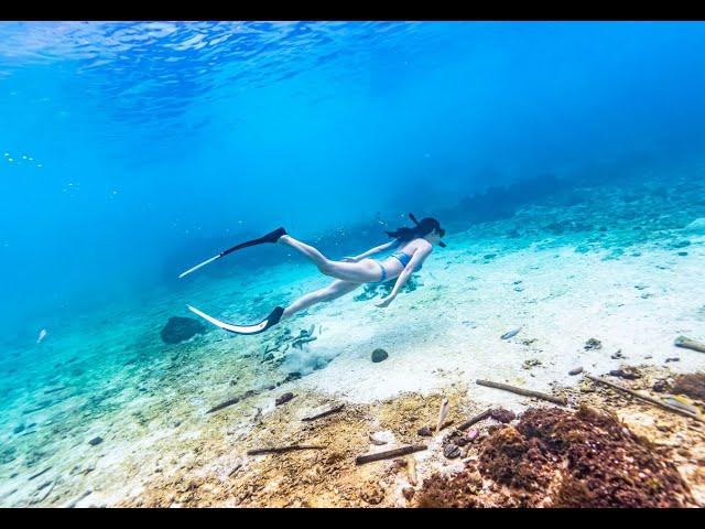 보라카이 호핑투어 프리다이빙 스노클링 스킨다이빙 boracay boracayfreedive boracayfreediving boracaydiving