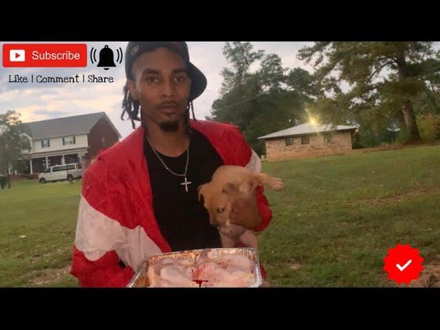 Raw an Uncut Raw Feeding Video With High Drive Pitbulls In The Jungle  With MarcosTVG