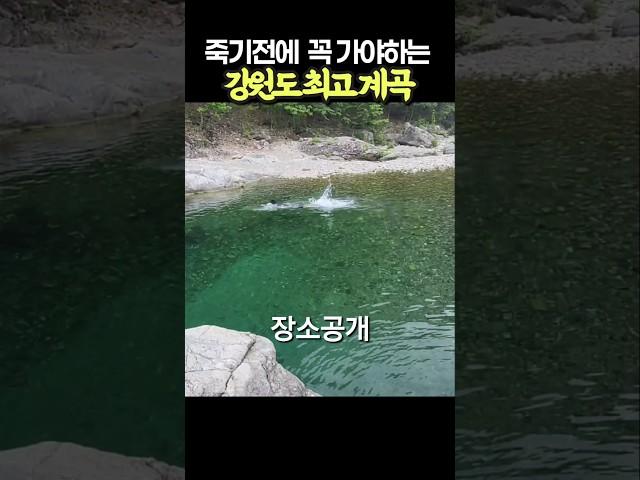 죽기전에 꼭 가봐야하는 강원도 인생 계곡 #여름휴가 #여름엔계곡이지