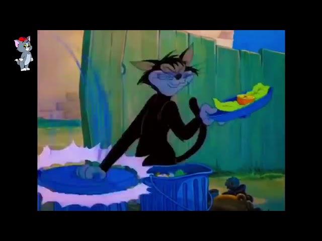 Tom And Jerry Bangla Carton Full Video