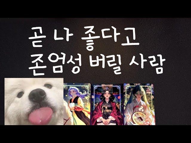 [타로] 곧 나 좋다고 존엄성 버릴 사람