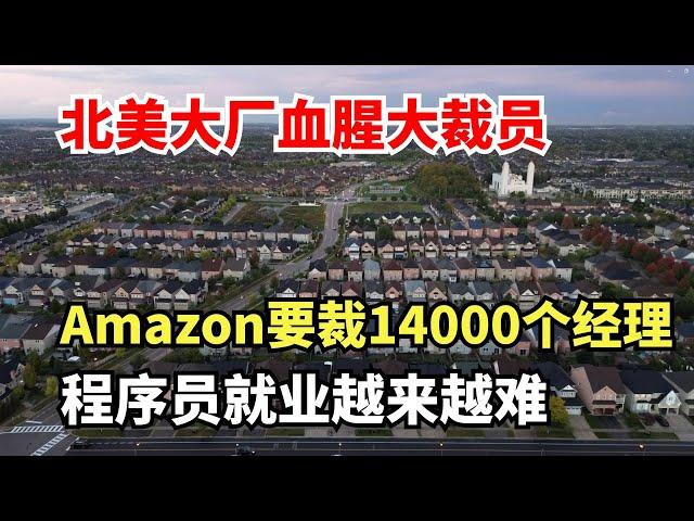 北美大厂血腥大裁员，Aamazon正在裁14000个经理，程序员的就业将会越来越难，AI必然取代程序员，程序员的出路何在？