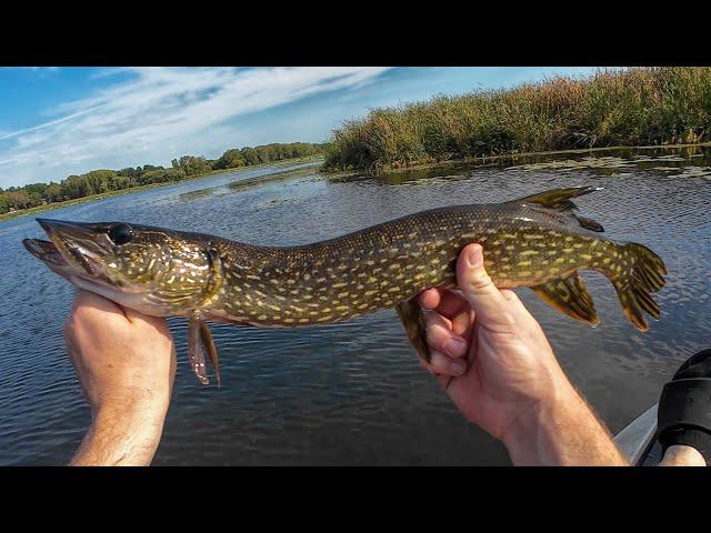 Pike Fishing On The Kayak! Cherokee Lake