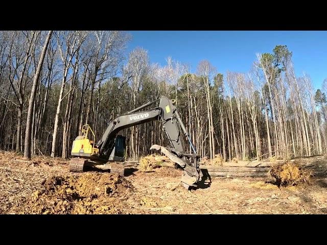 Horse Pasture Clearing Is Shaping Up! Still A Bunch Of Work To Do