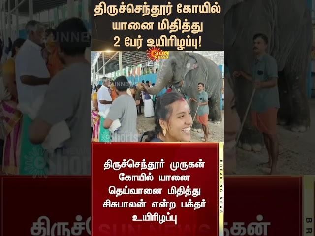 Tiruchendur temple elephant Deivanai trampled | 2 People Died | Sunnews