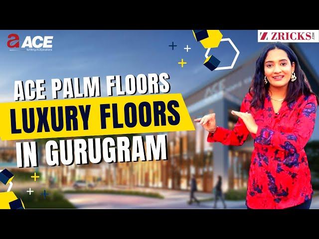 ⭕ 2/3 BHK + Study + Basement + Terrace  ACE Palms Floors  Luxury Floors in Gurugram | ACE GROUP