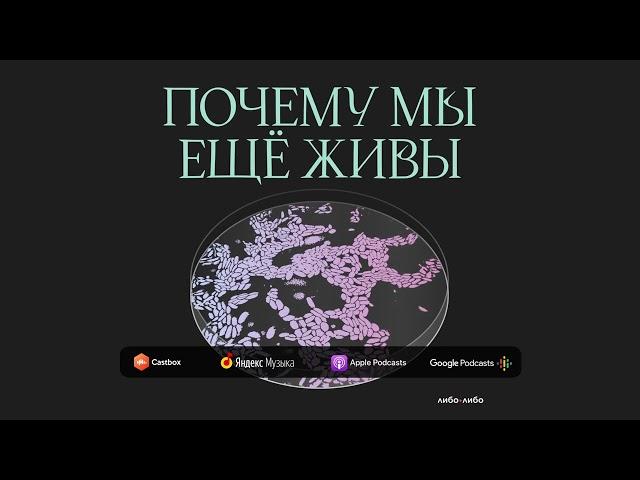 Не панацея: с чего мы взяли, что витамины лечат от всего | Подкаст Почему мы ещё живы