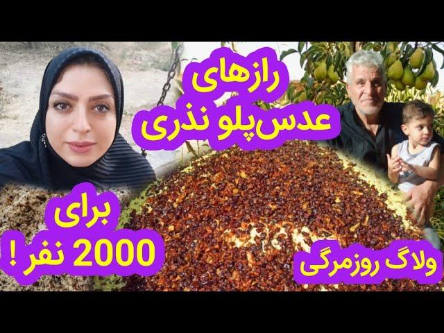 ولاگ آشپزی، روزمرگی من، رازهای یه عدس پلو نذری بی نظیر برای 2000 نفر