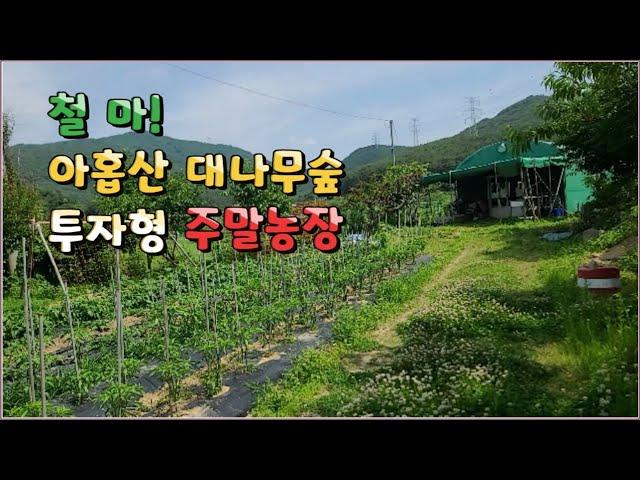 24-10/ 2차선 도로와 접하게 되는 투자형 주말농장입니다. 아홉산 대나무숲과 연꽃공원도 가까운곳에 있는 멋진 주말농장입니다.