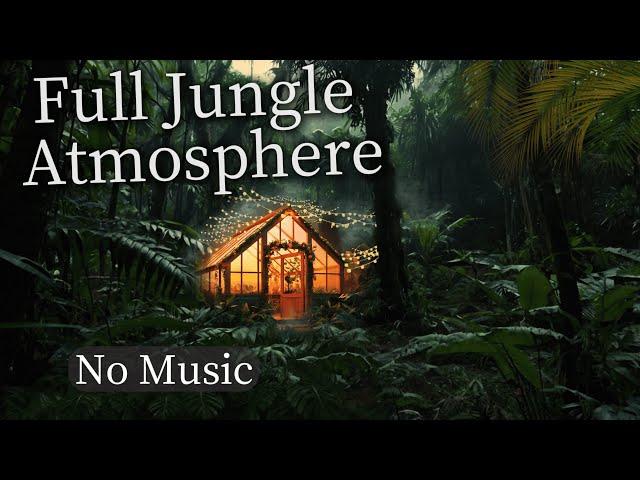 Full Jungle Atmosphere  | 2 Hours of Pure Nature