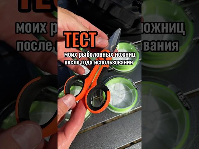 Лучшие ножницы для рыбалки! Тест на плетенке!  #поймалотпусти #рыбалка #fishing