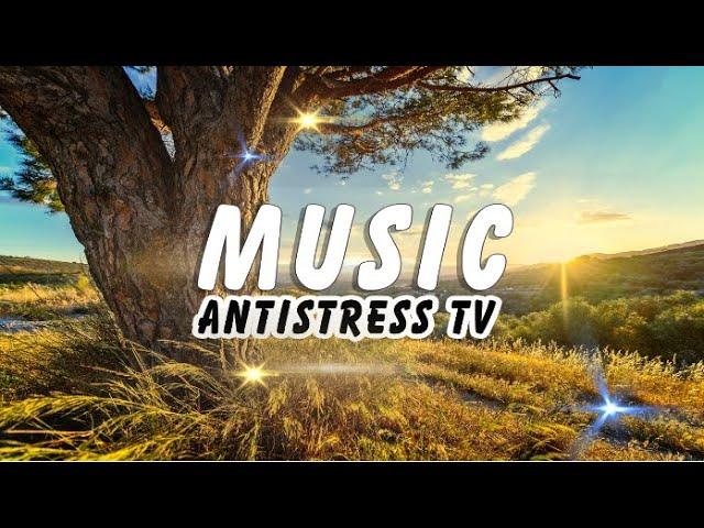  Это Лёгкая Музыка 2020 для Сказочного Настроения [Antistress TV Music] Relax Music