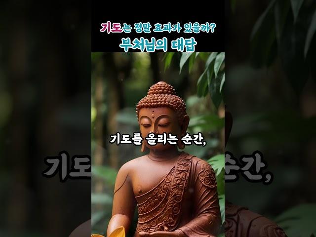 부처님 말씀 기도는정말 효과가 있을까 부처님의대답| 기도의힘|마음치유|부처님가르침|불교명상|감정정화|불교수행|부처님의지혜|등불편지|명상과기도|불교오디오북
